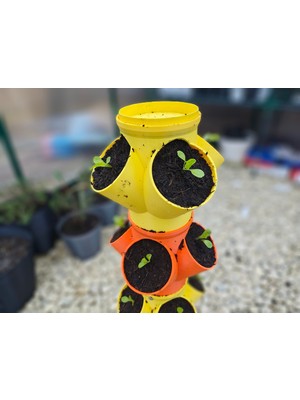Vertigrow Modüler Dikey Saksı Sistemi - Mutfak Otları Çilek Marul Yetiştirme - Apartman Bahçesi