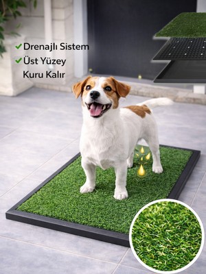 Beylini Köpek Çim Tuvalet Matı Pet Kedi Plastik Havuzlu Drenajlı Kaka Çiş Ped Halısı Hijyenik Paspas 50 x 70 cm