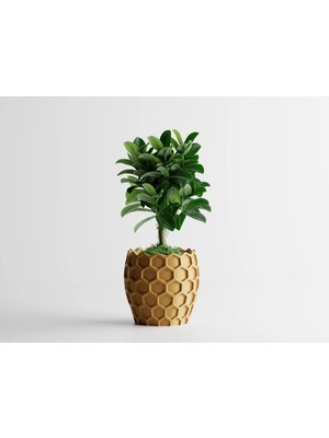 Tüyak Production Bal Peteği Desenli Saksı | Honeycomb Minimal Saksı 8 cm
