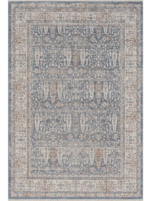Cool Halı Seremoni Mavi Bej Vintage Halı Yumuşak Dört Mevsim Pati Dostu Klasik Desen Salon Oturma Odası Halısı