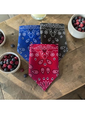 ALS Tasarım Dünyası Mavi, Kırmızı ve Yeşil Renk %100 Koton Bandana