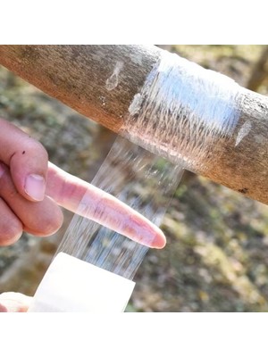 Selfbuysell 5 cm x 200 Metre Aşı Streçi - Profesyonel Fidan ve Ağaç Aşı Bandı