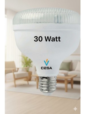 Cesaa Elektrik Horoz Elektrik 30 Watt Crystal Beyaz Işık 30W Kristal LED Ampul