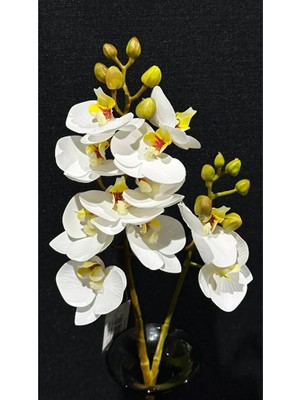 Greeneye Home Yapay Orkide 2'li Dal Beyaz 60 cm