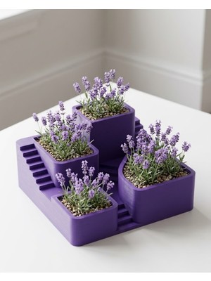 3D Kaktüs Saksısı Modern Çok Bölmeli Dekoratif Tasarım - Lisinya