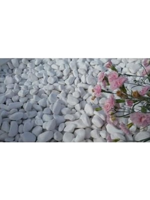 Aesco Dolomit Taş 2 kg 15-25 mm Dekoratif Vazo Akvaryum Teraryum Taşı Beyaz Dolomit Taşı Renkli