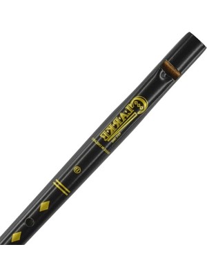 Aesco Gewa Clarke Sbdc Pennywhistle Kutulu, D Anahtarı, Siyah
