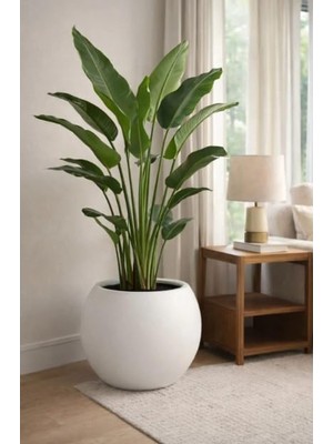 Aesco Modern Iç ve Dış Mekan 40X30 cm Beyaz Plastik Dekoratif Yuvarlak Saksı