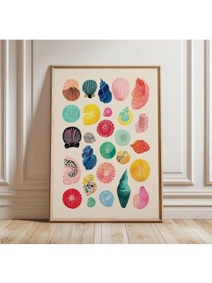 Ninastore Deniz Kabuğu Posteri | Renkli Kıyı Kabuğu Sanat Baskısı | Deniz Temalı Duvar Dekoru | Plajdan Ilham