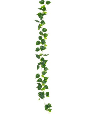 Herdekora Yapay Sarmaşık Pothos Yeşil 79 Yaprak 210 Cm.