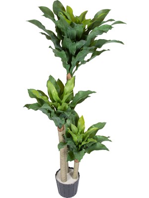 Herdekora Yapay Dracena 69 Yaprak Yeşil 140 Cm.