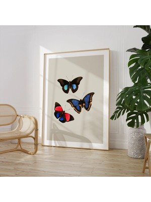 Ninastore Kelebek Sanat Baskısı - Renkli Böcek Illüstrasyonu - Doğa Temalı Duvar Dekoru | Lüks Kağıda