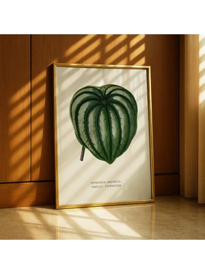 Ninastore Tropikal Bitki Duvar Sanatı - Vintage Botanik Yaprak Baskısı - Yeşil Duvar Sanatı Posteri - Karpuz