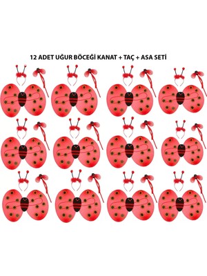 Uğur Böceği Kostüm Seti - Kanat, Taç, Asa 12 Adet Midastech