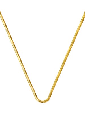 Bilezikci 14 Ayar Balık Sırtı Altın Zincir Kolye 40 cm