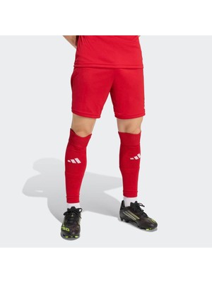 Adidas  ENT26 Sho Kırmızı Erkek Şort JZ2517