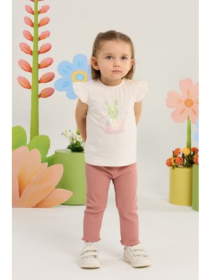Minycenter Kız Bebek Tavşan Desenli Alt Üst Set 3 Ay-36 Ay Pudra