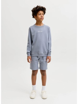Jack & Jones Gri Erkek Çocuk Nakışlı Şort 12292805