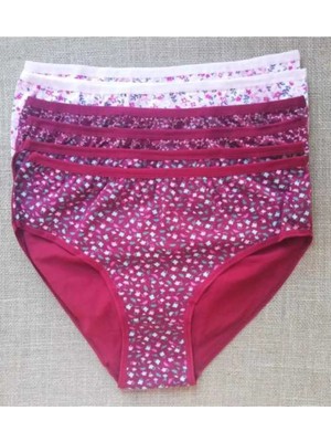 Kota Kadın 6'lı Paket Pamuk Cotton Likralı Bato Külot