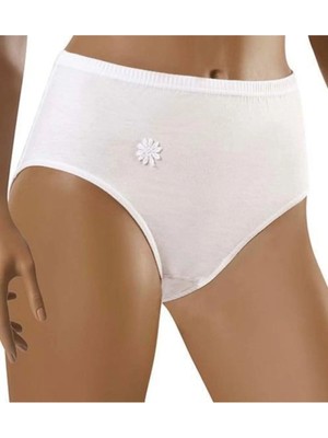 Şahin 6 Lı Paket Kadın Penye Bato Slip Külot 30500