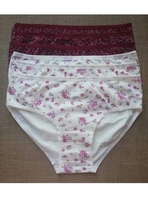 Kota Kadın Ekru Bordo 6'lı Paket Cotton Pamuk Bato Külot