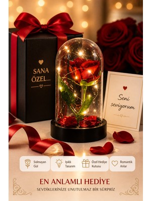 Kesene LED Işıklı Cam Fanus Solmayan Gül Sevgiliye Romantik Özel Gün Hediyesi Dekoratif Gece Lambası