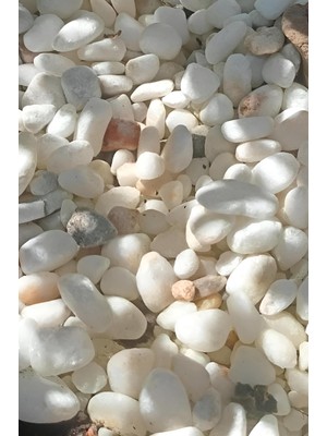 Beyaz Dekoratif Doğal Çakıl Taşı 1-2 cm 1 kg Saksı Üstü Bahçe Akvaryum Süsü Dolomit Taş