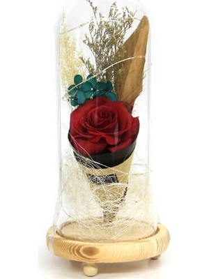 Tekinhediyelik Fanus Gül 28/12CM   ( 35 Is )