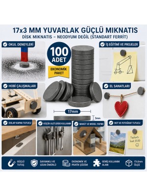 BSSM 100 Adet Mıknatıs 17X3 mm Yuvarlakk Güçlü Mıknatıs Disk Mıknatıs