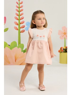 Minycenter Kız Bebek Çiçek Nakışlı Kolları Fırfırlı Body Elbise 3 Ay-36 Ay Pudra