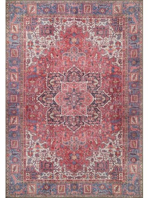 Pera Halı Solgun Kırmızı ve Mavi Medalyonlu Vintage Pers Halısı - Outlet - T0246YOU