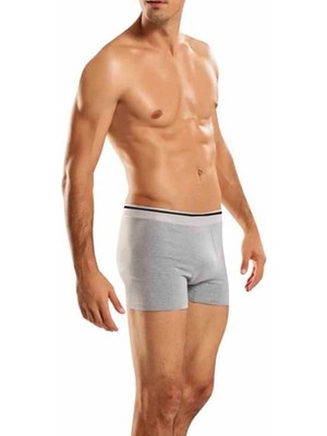 Berrak Erkek Gri 3'lü Paket Likralı Boxer ELF568BER10973