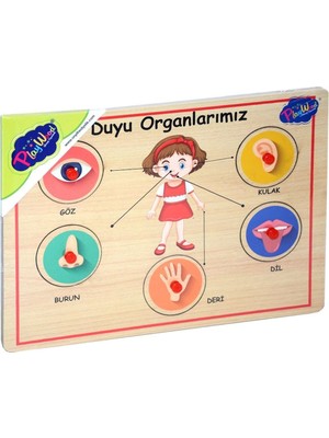 Trendy Pazars 166/167 Onyıl, Ahşap Tutmalı Organlar