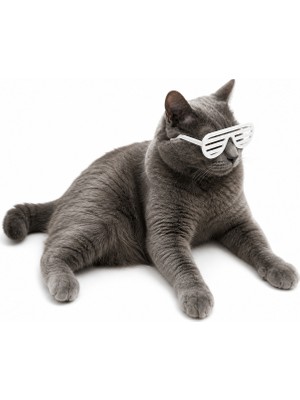 Yapı3D ✨ Kedi Gözlük Seti 3’lü | Renk Seçenekli Eğlenceli Kedi Aksesuarı | Sert Plastik