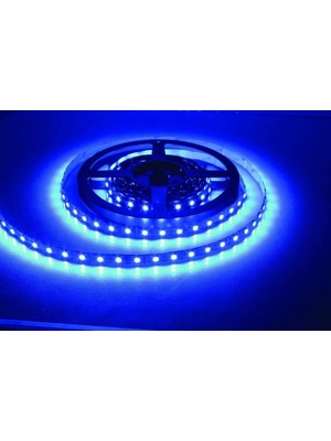 K2 Led KCL005 Mavi LED Şerit 10 mt