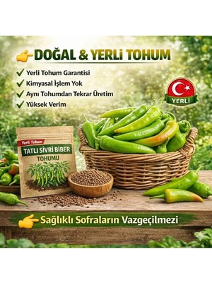 Okacih Tatlı Sivri Biber Tohumu Yerli Üretim – Hızlı Çimlenen , Saksı & Bahçe Için, Aromatik Şifalı Bitki Tohumu