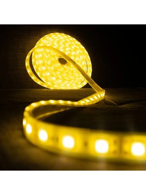 Cata 12V 5A 60W Fansız Trafo ve 5metre 10çip Şerit LED Seti