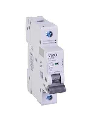 Skygo 6VTB-1C100 Otomatik Sigorta 6ka C Tipi 1 Kutup 100A
