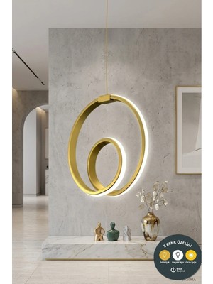Lzy Avize Store Orjin Eskitme Modern Çember LED Sarkıt Avize 3 Renkli Şık Antre & Hol Aydınlatma
