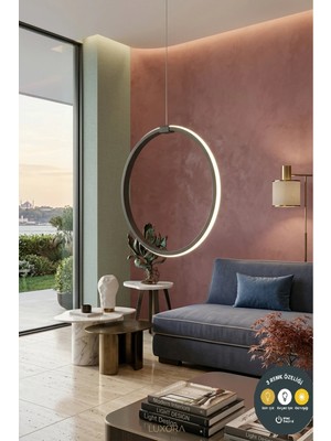 Lzy Avize Store Daire Siyah Tekli LED Sarkıt Avize & Şık ve Modern Antre Hol Aydınlatması (30 Cm)