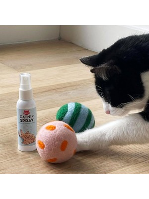 Kikkerland Kiko Spray & Play CAT10