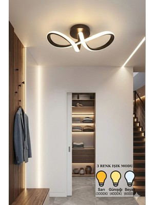 Lzy Avize Store Düğüm Model Siyah LED Sarkıt Avize & Şık ve Modern Tasarımıyla Salon , Antre ve Hol Aydınlatma