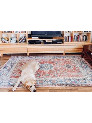 Vivense Aida Home Bluerosso Salon Halısı, 80X300