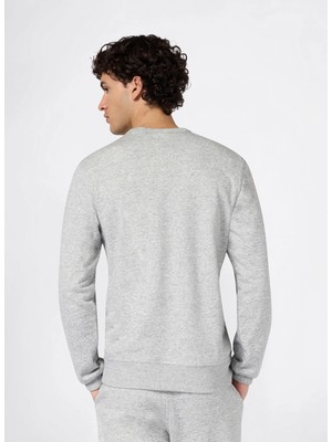 Champion 221793-EM021 Crewneck Sweatshirt Gri Erkek Sweatshirt
