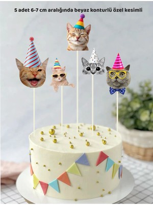 Kedi Konseptli Yetişkin Pasta Süsü Doğum Günün
