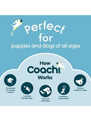 Skygo Of Animals Coachi Tuvalet Eğitim Çanları Lacivert ve Açık Mavi
