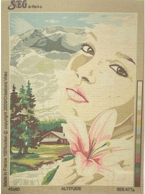 Seg de Paris Seg Baskılı Goblen 929 477 Altitude 45X60CM Tablo Pano