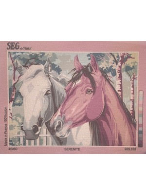 Seg de Paris Seg Baskılı Goblen 929 526 Serenite 45X60CM Tablo Pano