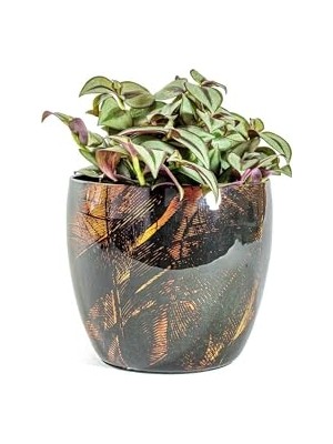 Cekar Store Vive Siyah Metal Saksı M 17X15 cm