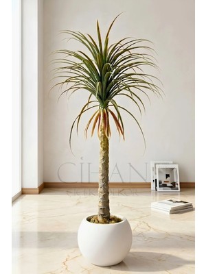 Cihan Çiçekçilik Yapay Dracaena Marginata - Beyaz Küre Saksı